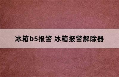 冰箱b5报警 冰箱报警解除器